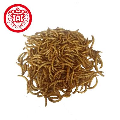 China Feeding Pet with Dried Mealworms from Perfect for Your Pet s Nutrition for sale