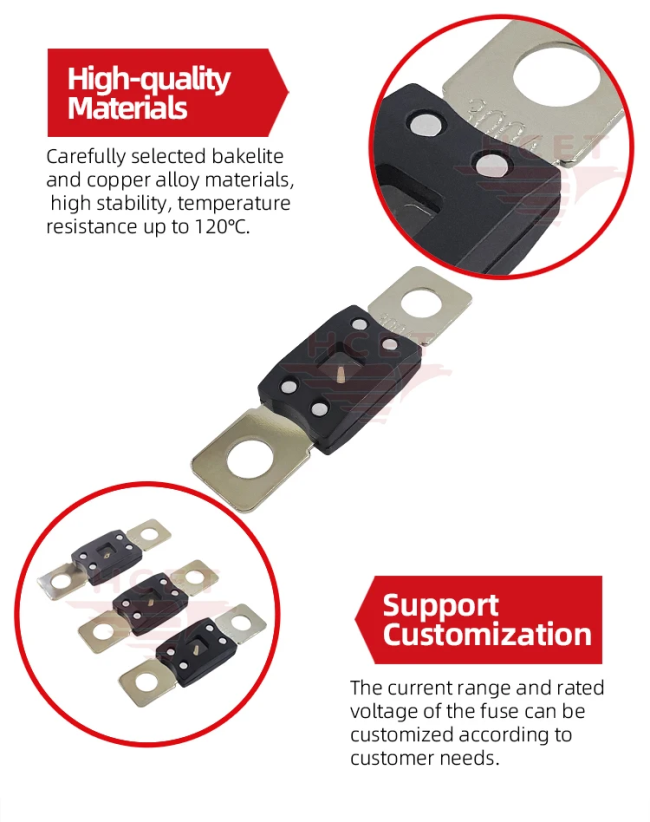 Close-up view of bolt down fuse silver-plated terminals