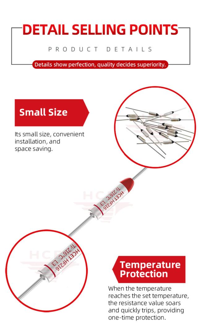 Detailed close-up view of thermal fuse internal components and construction