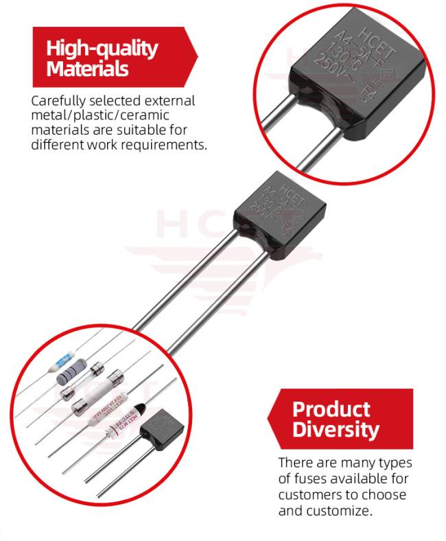 Additional detailed view of HCET thermal fuse internal components