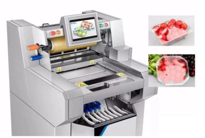 Cina 1415 multi pellicola trasparente della frutta fresca dell'alimento di Tray Sealing 3kg della macchina imballatrice di millimetro in vendita