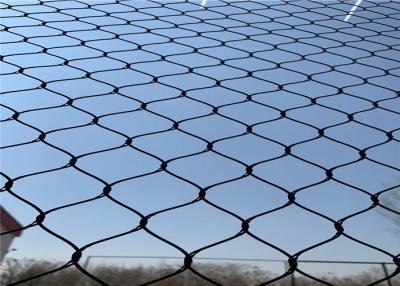 中国 Strong Stainless Steel Cable Wire Rope Mesh Aviary Wire Netting For Zoo Mesh 販売のため