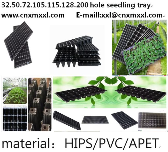 72 cells Nursery Tray Plastic Seeding Tray Low Price Mango Plant Strawberry Seeding Trays 5