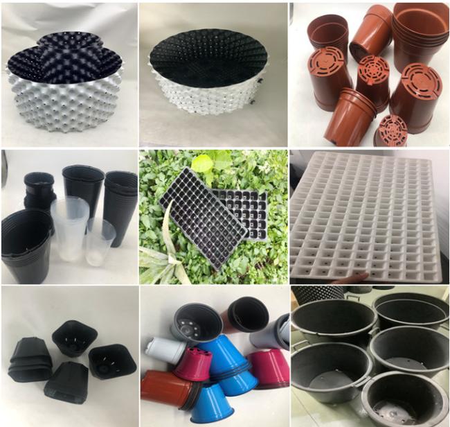 72 cells Nursery Tray Plastic Seeding Tray Low Price Mango Plant Strawberry Seeding Trays 6