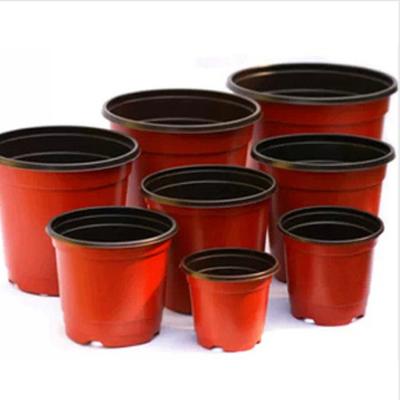 China Degradable Polymers Blister Small Plastic Flower Pots For Plant for sale
