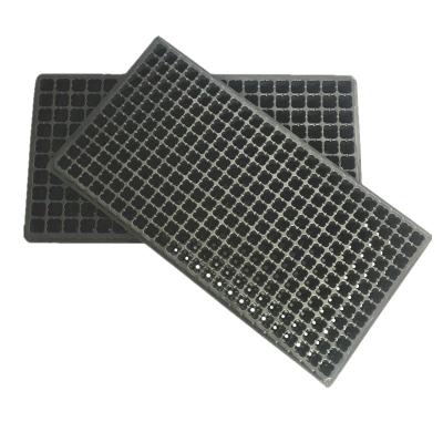 China Degradable 105 Cells Hydroponic Plastic Seedling Tray For Gardening for sale