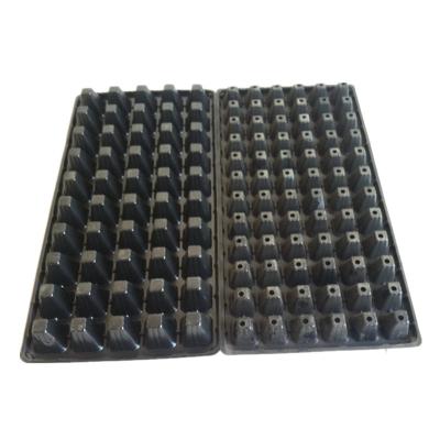 China 105 Holes Rectangular Polystyrene Seed Raising Tray Deep Cell Plug Trays 540X280mm for sale