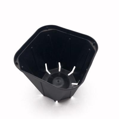 China Durable whole sales  black plastic seedling pot small square shape nursery pot for sale