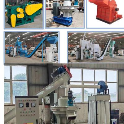 China 1TPH-10TPH Biomass Wood Chip Pellet Machine Eucalyptus Birch Pellet Production Line for sale