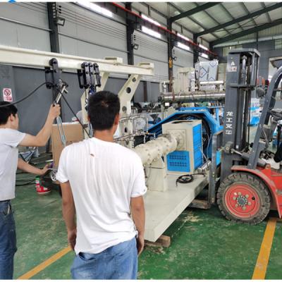 China 2023 newest type pet dog cat fish food extruder production line for sale