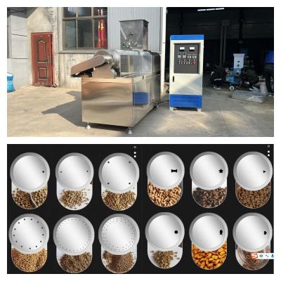 China Stainless Steel Dry Type Fish Feed Extruder 55kw Dry Pet Food Production Line for sale