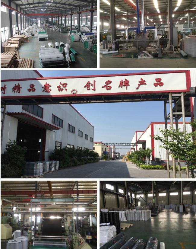 Advanced Equipment and Technology at Skypro Factory