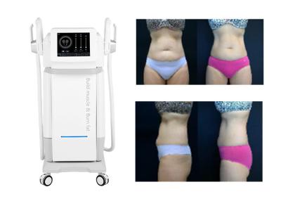 China CE Approved EMS Body Slimming Machine 5000w 7 Tesla For Weight Loss for sale