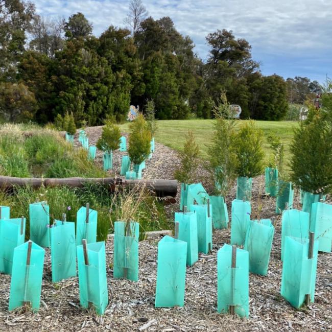 Mantis Fluted Tree Guards