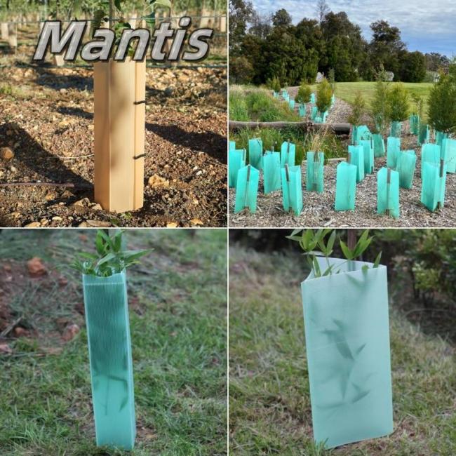 Mantis Fluted Tree Guards