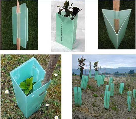 tree guard