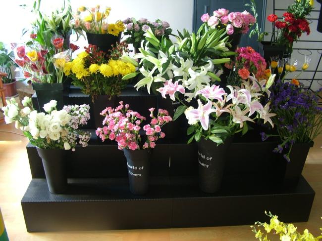 PP Display Stand