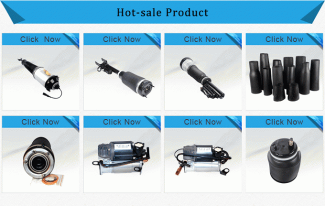 Front Air Ride Suspension for W212 Air Suspension Shock Absorber 2123203138 A2123202238