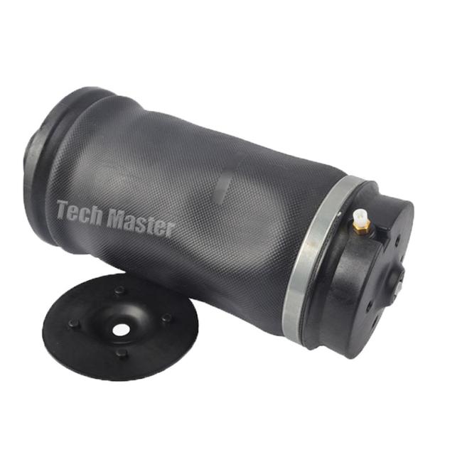 W164 rear air spring (2)