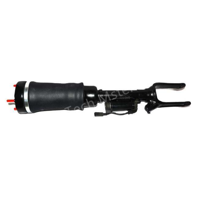 W251 air suspension (6)