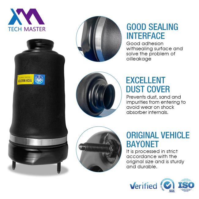 Detailed view of air suspension strut assembly