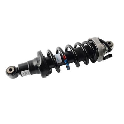 China Front Suspension Shock Absorber With ADS For Audi R8 2006-2016 420412019AG 420412020AG for sale