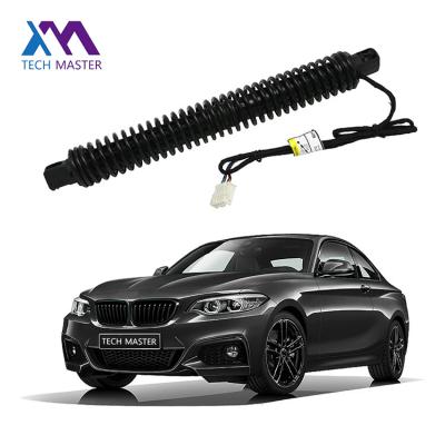 China BMW Spindle Drive For 7X0LI F02 Electric Strut 51247185714 for sale