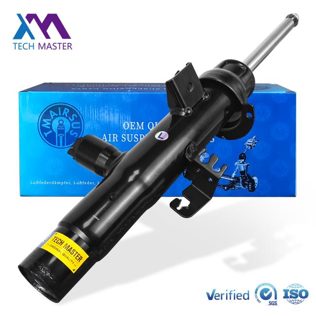 Side view of shock absorber strut