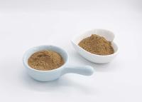 China USP40 Food Grade Ginkgo Biloba Extract Powder 22% Flavones for sale