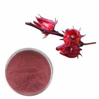 China Hibiscus Roselle Flower Extract Powder With 10% Anthocyanidins for sale