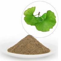 China EP Grade Ginkgo Biloba Extract With 22%-27% Ginkgo Flavonglycosides And  6% Lactone for sale