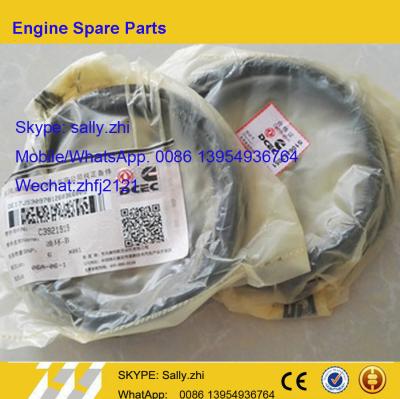 China sdlg Piston ring ,  C3921919 /C3922686 , DCEC engine  parts for DCEC Diesel Dongfeng Engine for sale