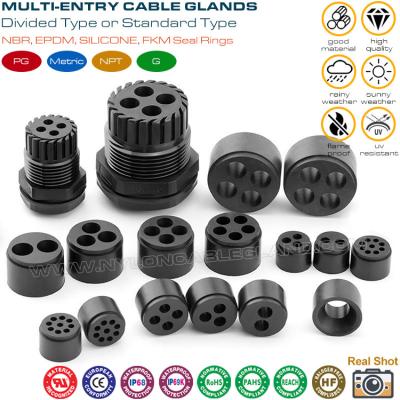 China Multi-hole (Multi-Entry) Plastic IP68 Cable Glands with PG & Metric Threads for Electrical Encloures for sale