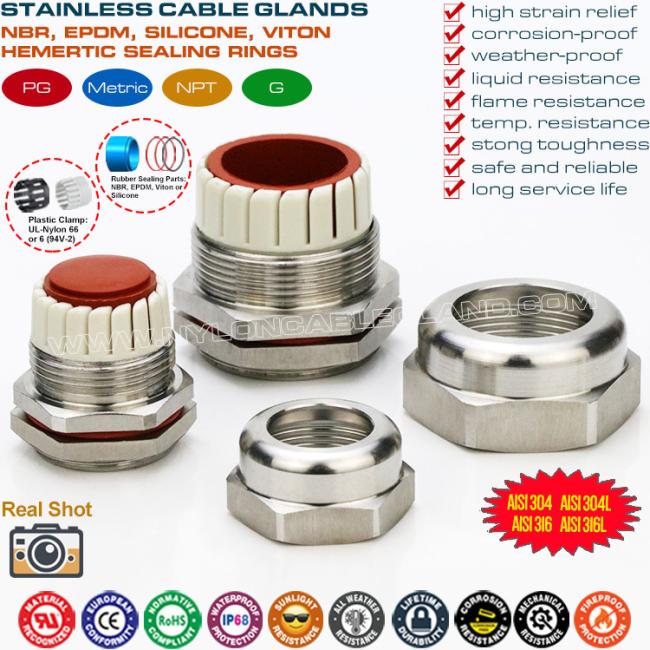 304, 316, 316L Stainless Steel Temperature Resistant PG Cable Glands Joints Connectors with FPM Hermetic Seals 304, 316, 316L Stainless Steel Temperature Resistant PG Cable Glands Joints Connectors with FPM Hermetic Seals