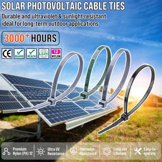 Nylon (PA) 12 UV-Resistant Cable Zip Tie 300mm x 4.8 (Bundle Dia. 3-80mm), Excellent Salt & Chemical Resistance, for Solar Photovoltaic Industry