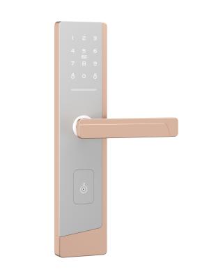 China Smart Touchscreen Passcode Door Lock For One Admin And Up To 100 Users for sale