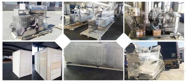 Sus NSK Bearings Breakfast Cereal Production Line Making Corn Flakes