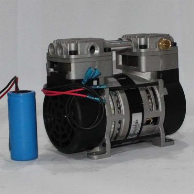 Chine pompe de compresseur d'air de GSE Oilless de compresseur d'air de la nourriture 170W pour l'industrie des boissons 220V 50Hz à vendre