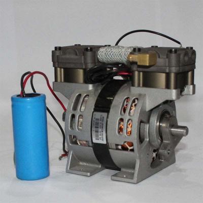 China 100W Oil Less Piston Compressor Disinfection Equipment Compressor Oilless 110V 60Hz for sale