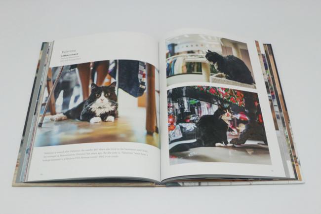 Pet Picture Album Printing