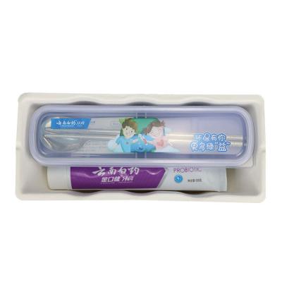 China Sugarcane Bagasse / Paper Molded Pulp Tray Box Biodegradable Toothpaste Toothbrush Insert for sale