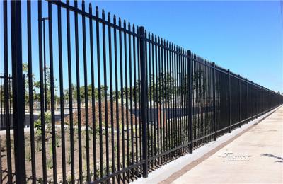 China 2.4m X 2.4m SHS 65mm Tube Black Garrison Garden Fence Panels Security Spear Top Tubular Steel Fencing for sale