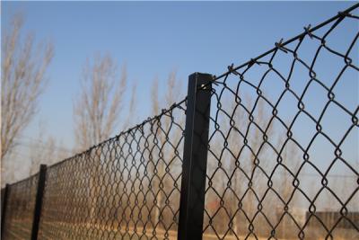 China 2.1mx10mx50x50mm galvanized steel chain link fence from  