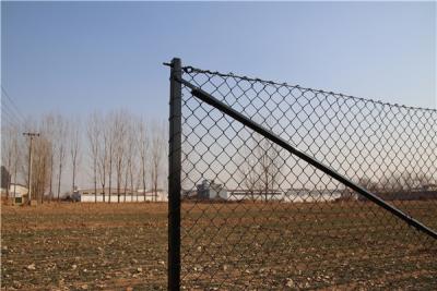 China 2.1mx10mx50x50mm galvanized steel 	8 foot chain link fence from  