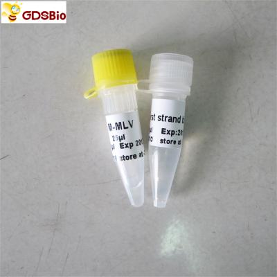 China PCR R1041/R1042 do Rt dos reagentes do PCR de Transcriptase do reverso de M-Mlv à venda