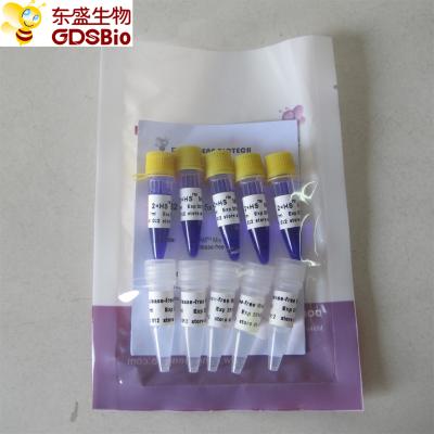 China HS Mix PCR Master Mix #P2082 5ml for sale