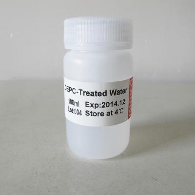 China 30ml  100ml DEPC Treated Water R2041 R2042 Colourless Appearance for sale