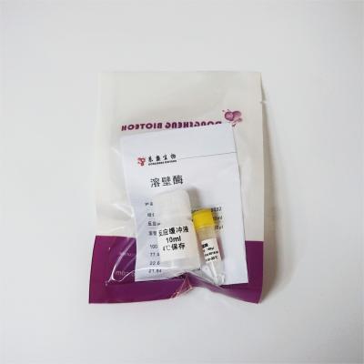China Van de Gistcelwanden van de Lyticasesamenvatting het Enzymn9031 Kenmerkende Producten In vitro Te koop