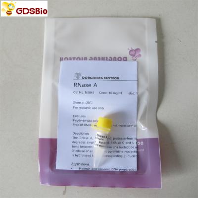 China 1ml RNase A Solution N9041  Colourless Solution for sale
