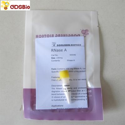 China N9046 100 mg In Vitro Diagnostic Products RNase A Powder for sale